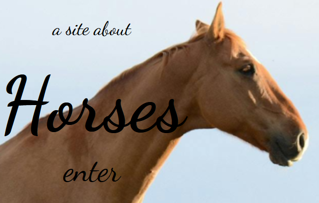 landing page template